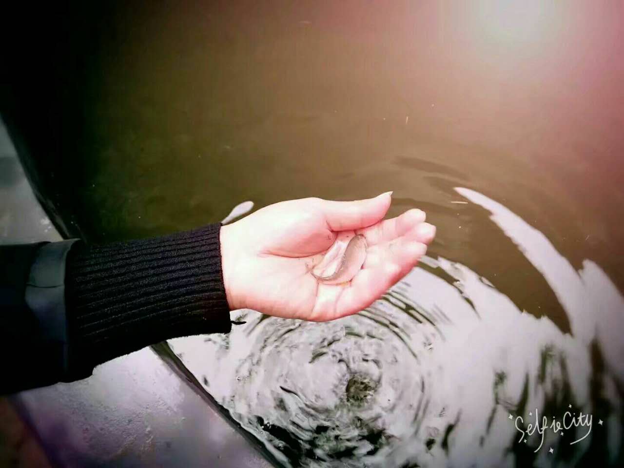微信图片_20171012202846 微信图片_20171012202846